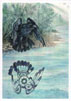 Raven's riegn